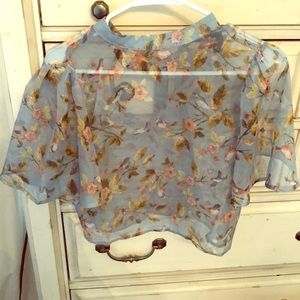 Cropped sheer blouse